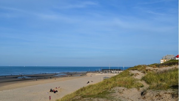 Wassertemperatur In Wenduine In Der Nordsee Jetzt