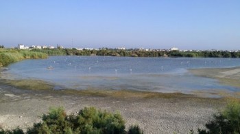 Larnaca, Cipar