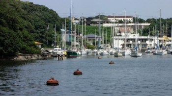 Miura, Japonia