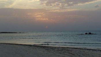 Духан, Катар