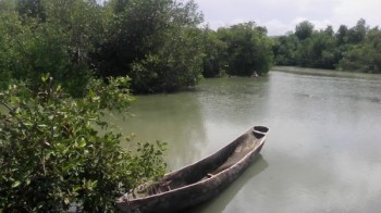 Petite Riviere De Nippes, Haiti