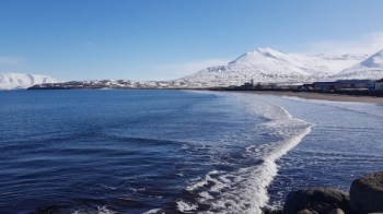 Dalvik, Islande