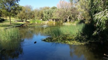 Mosman Park, Australien