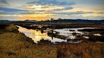 Dunwich, UK