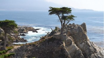 Monterey, Ameerika Ühendriigid