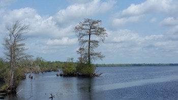 Chesapeake, États-Unis