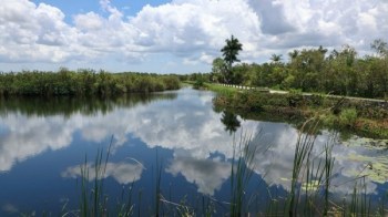 Everglades, Estados Unidos