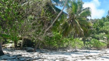 Острво Аноним, Seychely