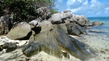 Island Anonyme, Seychelles