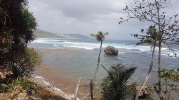 Bathseba, Barbados