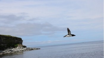 Havre Saint Pierre, Canada