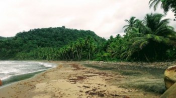 Atkinson, Dominica