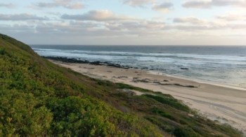 Maitland pludmale, Dienvidāfrika