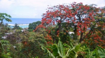grad Sandy Point, Sveti Kitts i Nevis