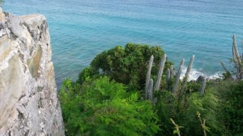 Coral Bay, Amerikaanse Maagdeneilanden