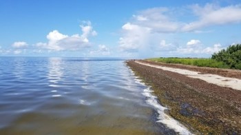 Horseshoe Beach, Vereinigte Staaten