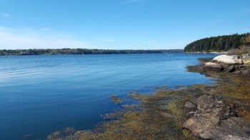 Westport, Ηνωμένες Πολιτείες Αμερικής