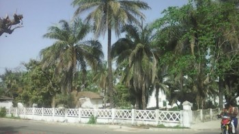 Ziguinchoras, Senegalas