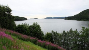 Ullanger, Svedska