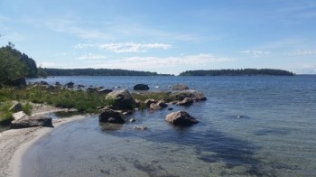 Olmen, Suécia