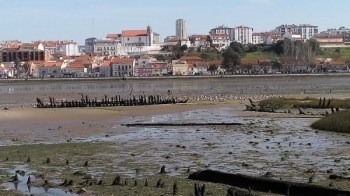 Amora, Πορτογαλία
