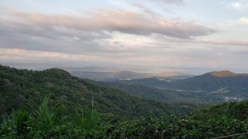 Нандаіуре, Коста Ріка