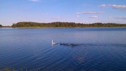 Lake Luki, Ukraine