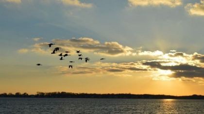 Long Island, Ηνωμένες Πολιτείες Αμερικής