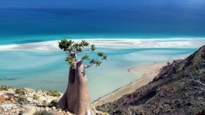 Socotra, Jemena