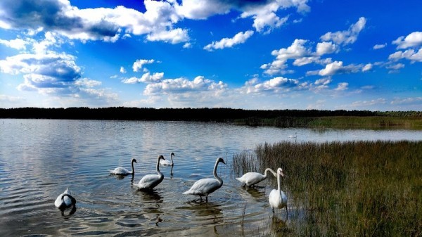 Shatsky Lake