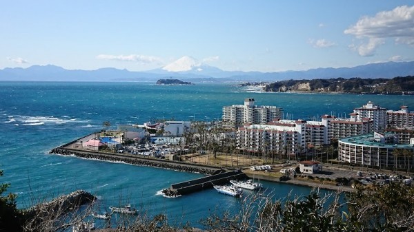 Hayama