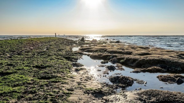 Hargen aan Zee