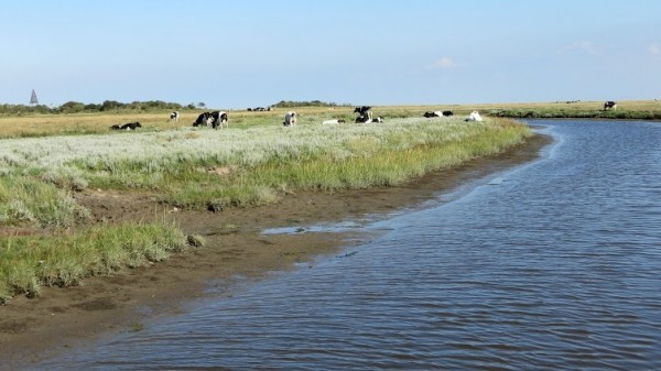 Schiermonnikoog