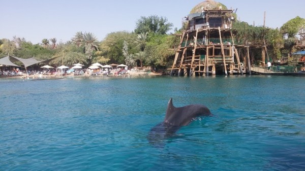 Eilat