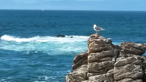 Quiberon