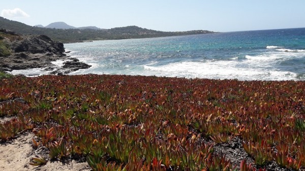 L'Île-Rousse