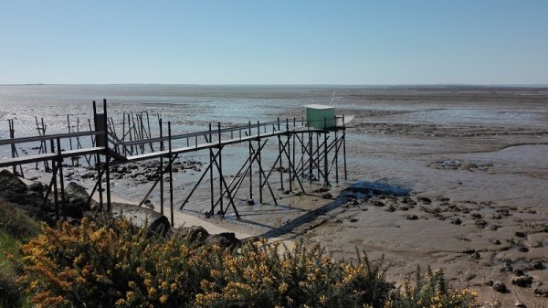 Port Des Barques