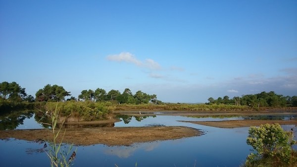 Arès