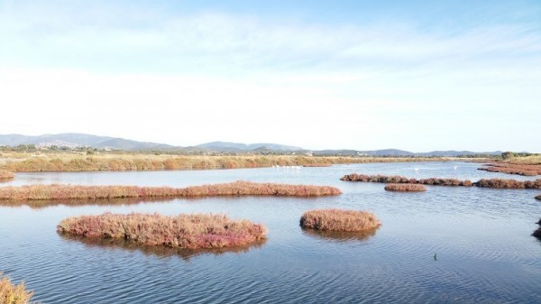 Les Salins