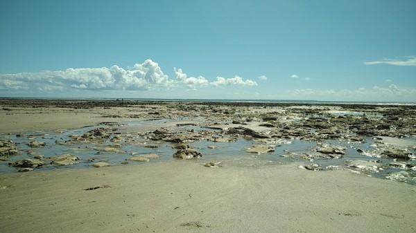 Sainte-Marie-de-Ré