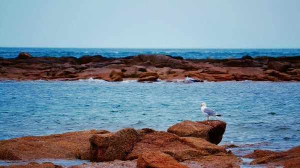 Gatteville-le-Phare