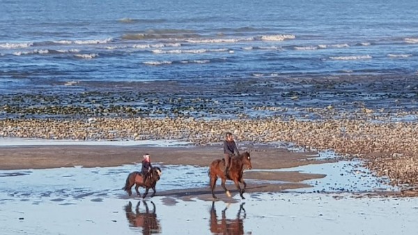 Quiberville