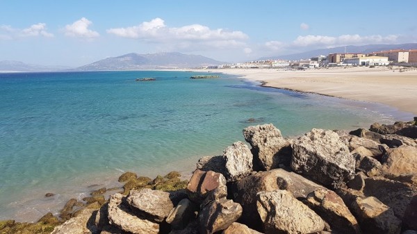 Tarifa