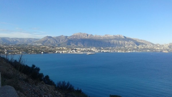 Albir