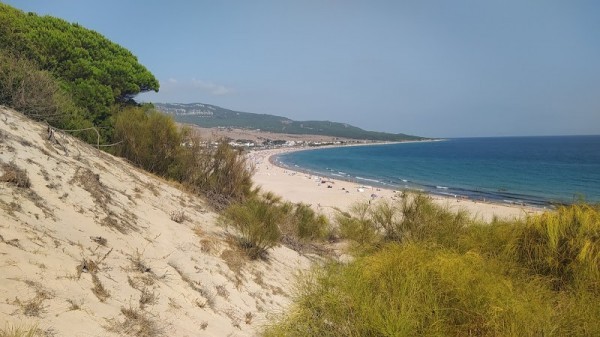 Playa de Bolonia