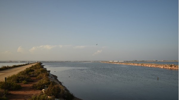 Mar Menor