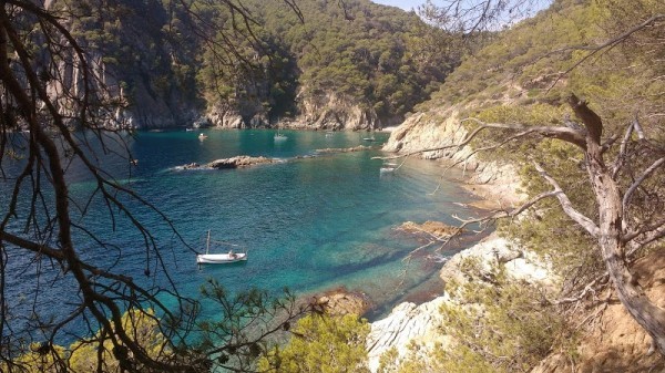 Cala Pedrosa