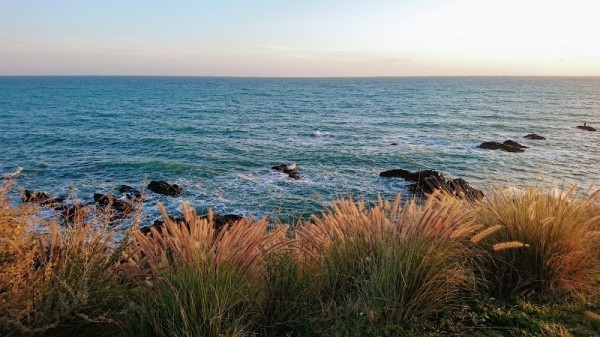 Torremuelle