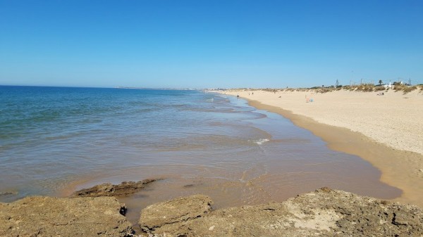 El Palmar de Vejer