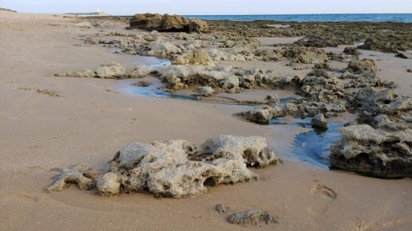 El Palmar de Vejer